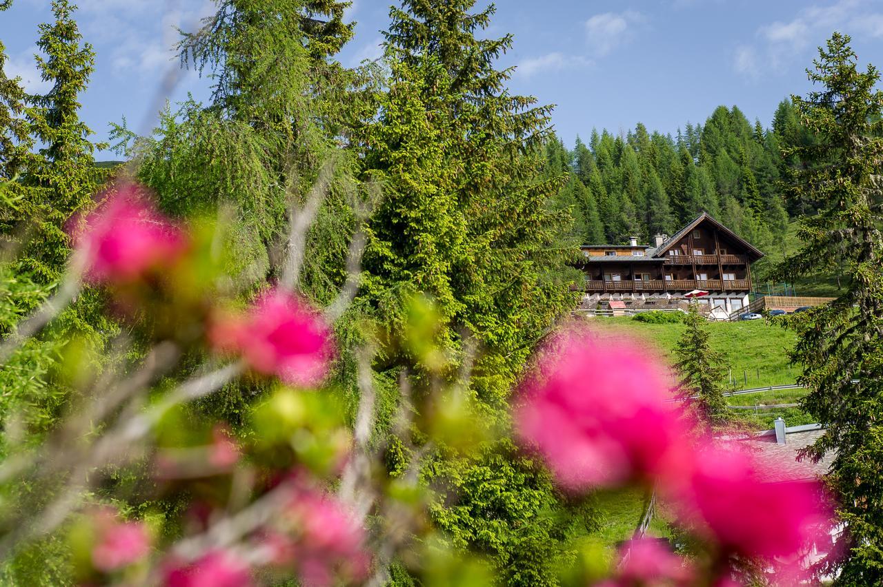 Sattleggers Alpenhof & Feriensternwarte Hotell Greifenburg Eksteriør bilde